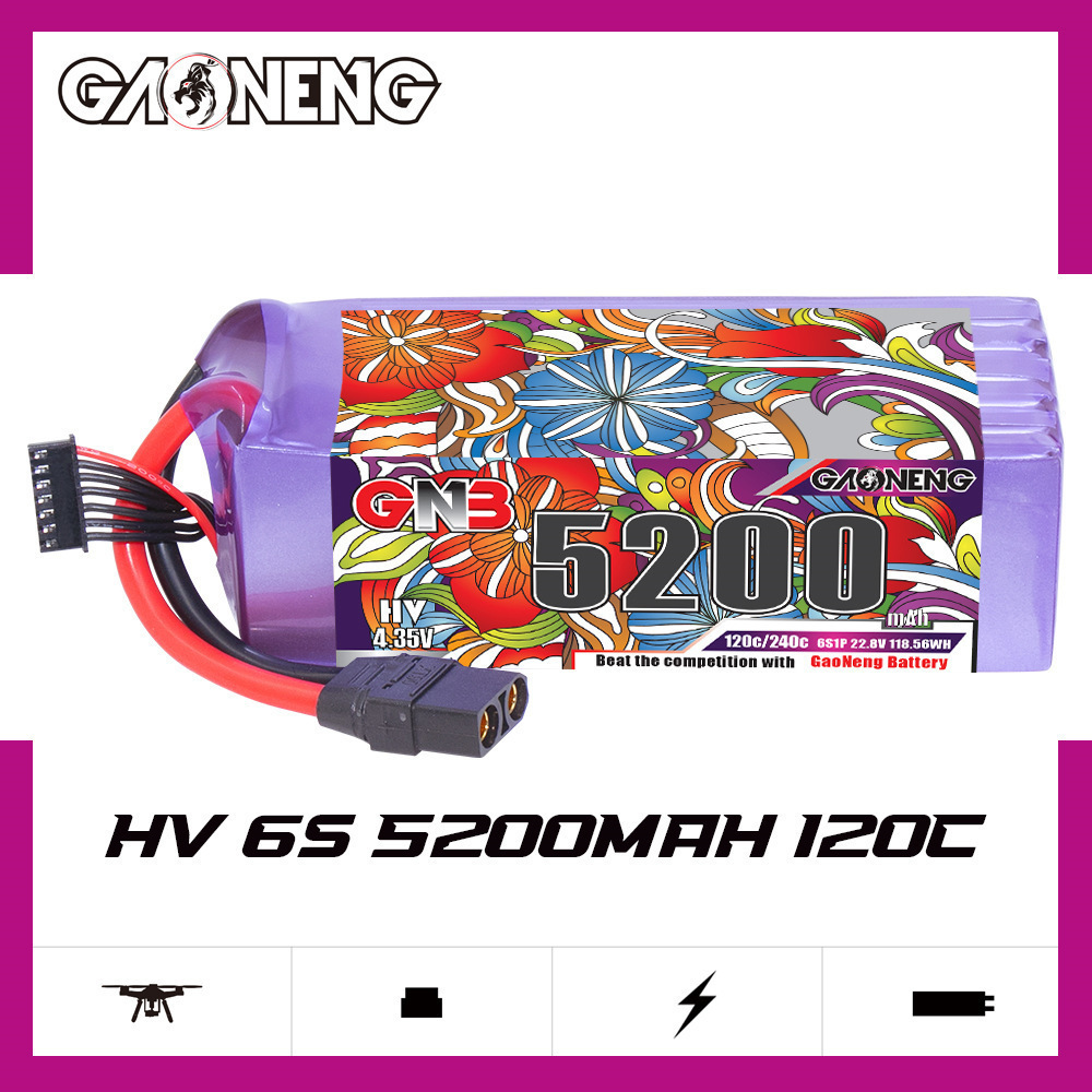 GNB 리포 배터리 6S 22.8V 3000mAh 52 - Rc Helicopter Battery 리뷰 및 가격